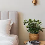 Liv Mackenzie Adults Only Apart Otel